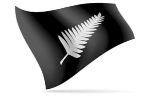 One version of proposed silver fern flag