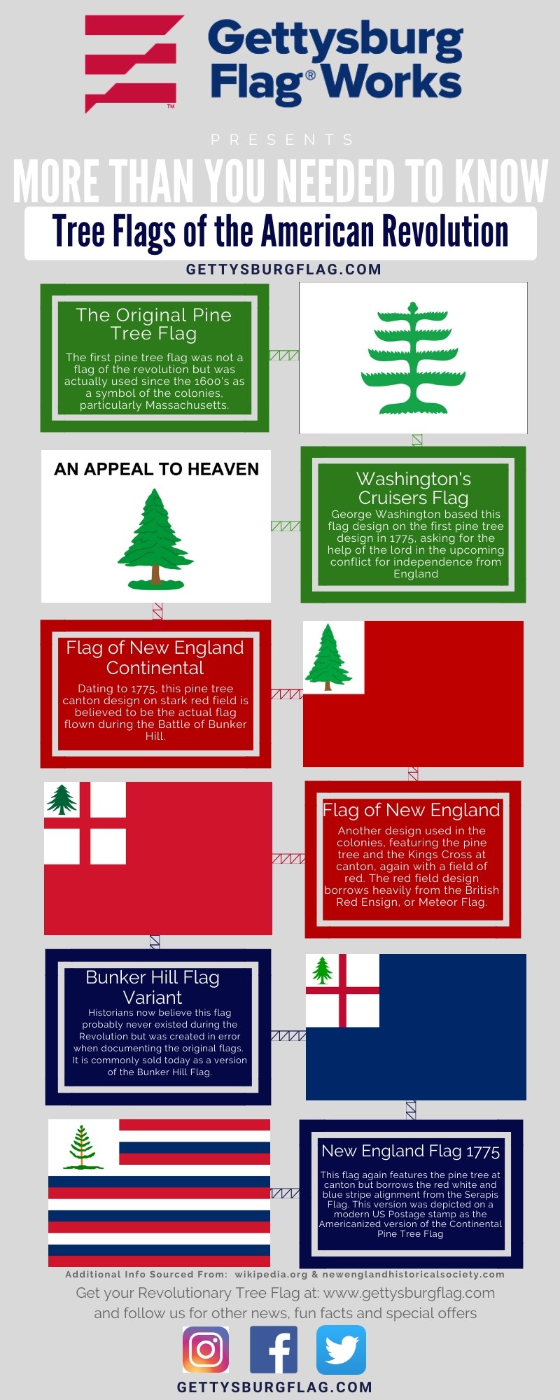 Pine Tree Flag Infographic 