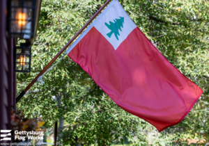 Gettysburg Flag Works free use historical flag image