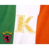 Customizable Ireland Flag Photo