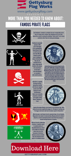 Pirate Flags Infographic