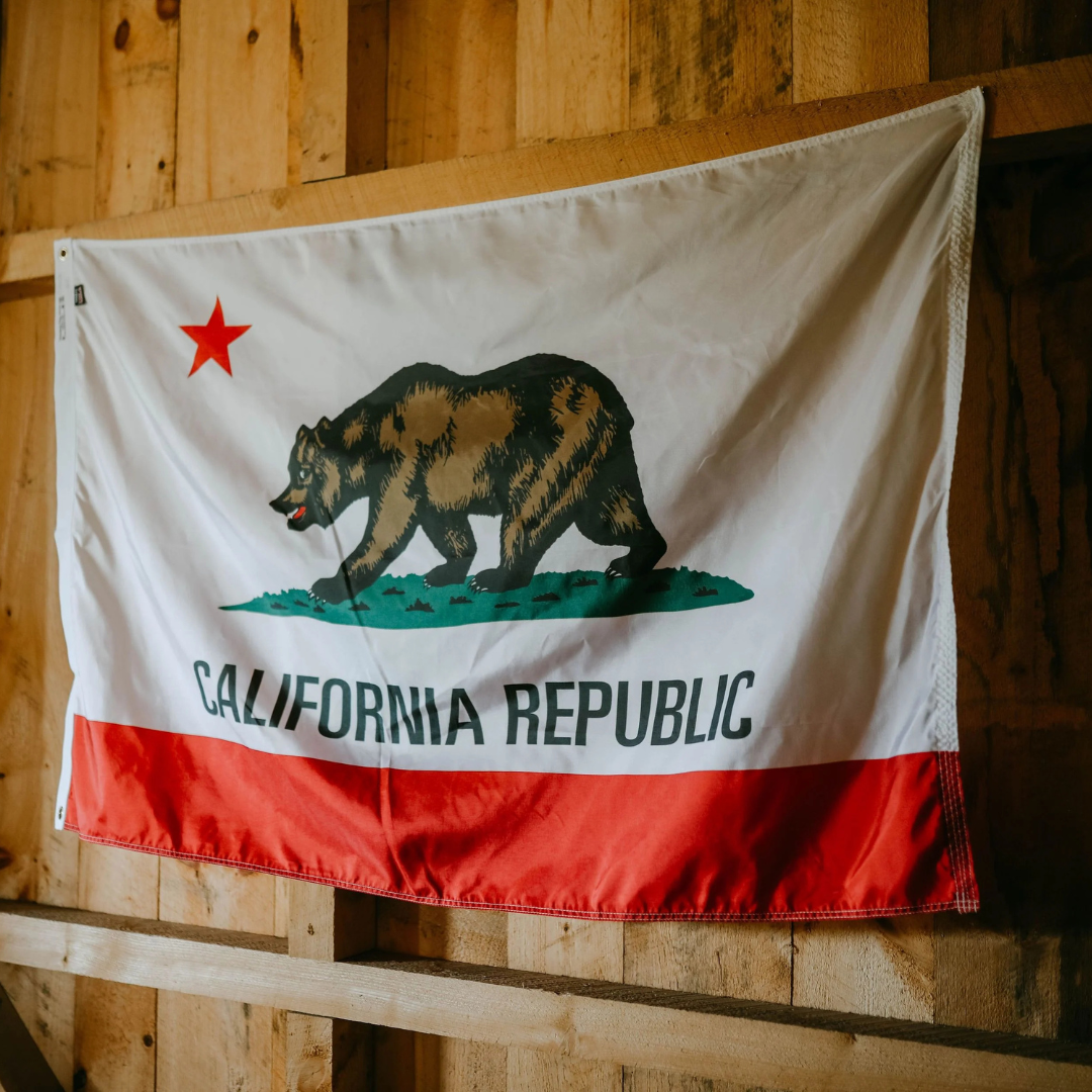 California flag photoshoot