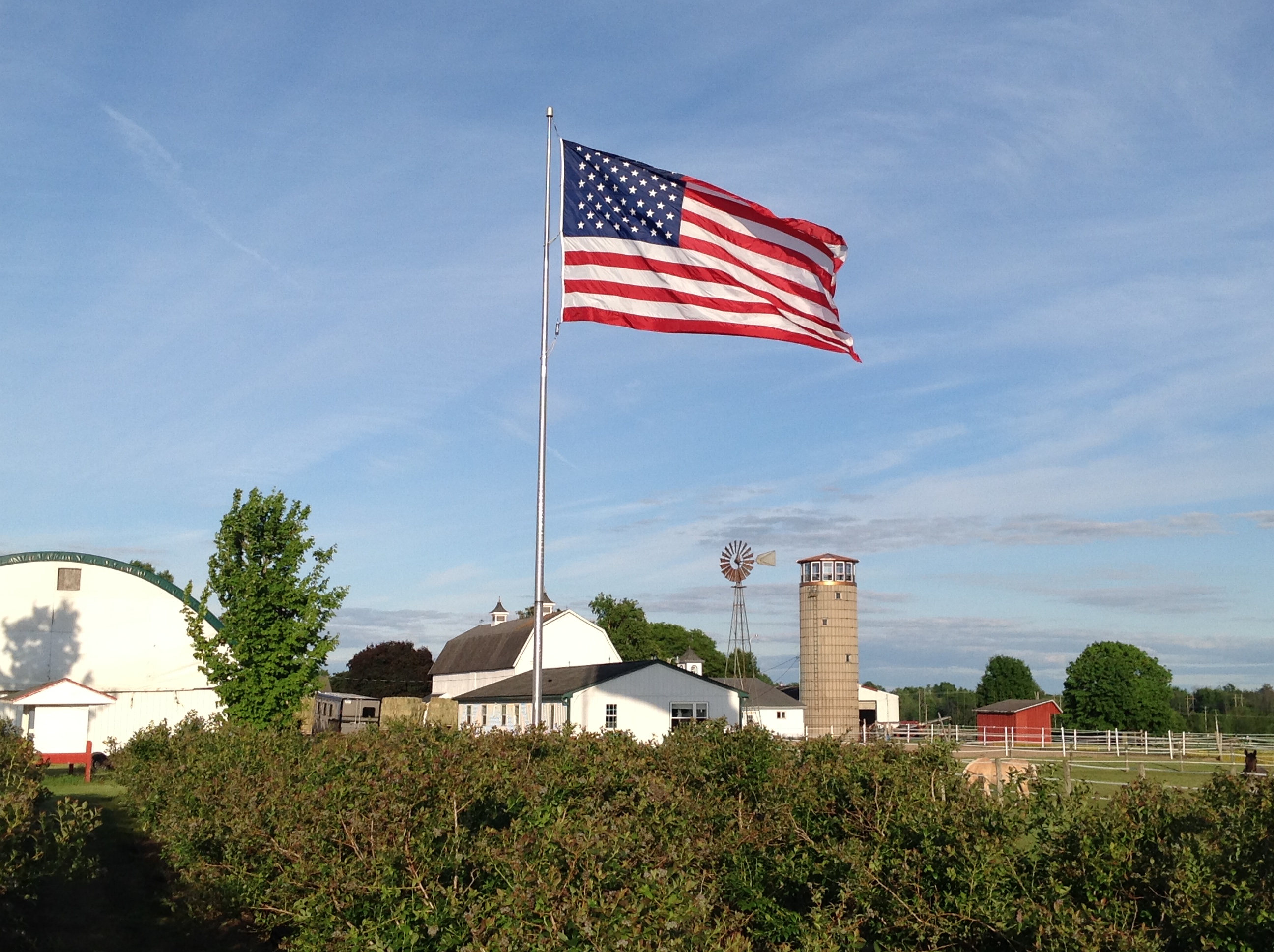 Large Outdoor American Flag